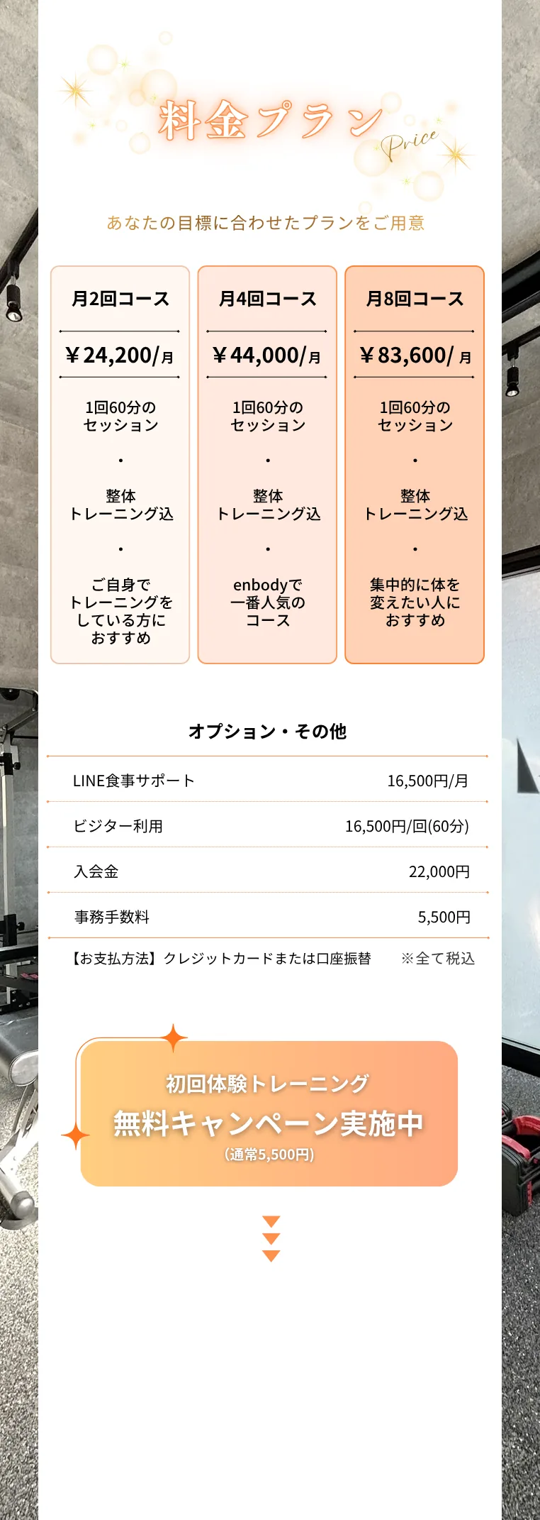 料金プラン