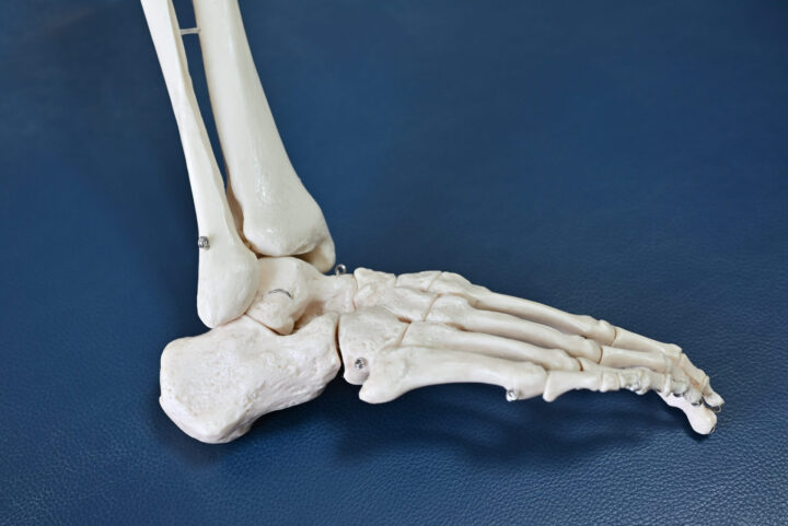 骨格矯正は足首から!歪みを整えるパーソナルジムenbodyの画像