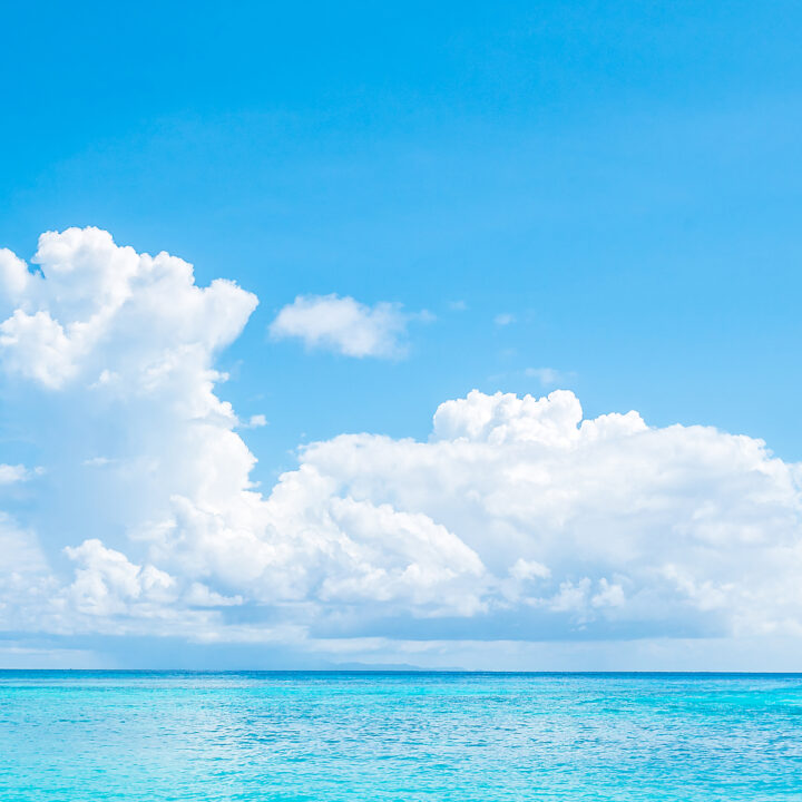 夏に向けた美脚美尻ボディメイクの画像